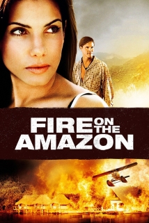 Fire on the Amazon