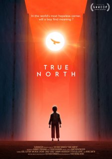 True North