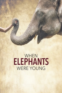 When Elephants Were Young