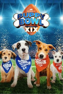 Puppy Bowl XIX