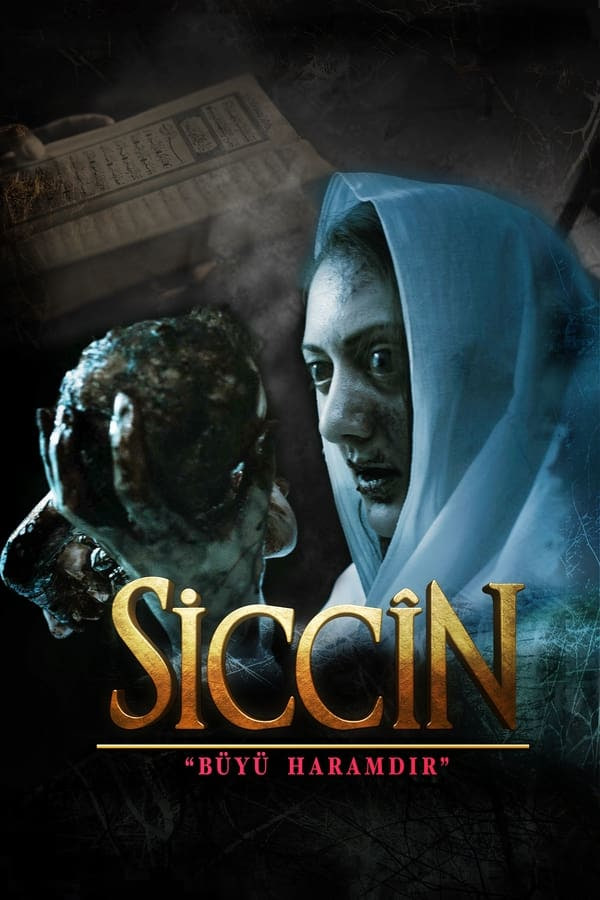 Siccin