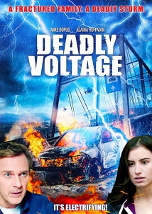 Deadly Voltage