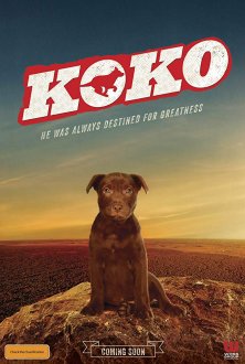 Koko: A Red Dog Story